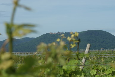 Madenburg