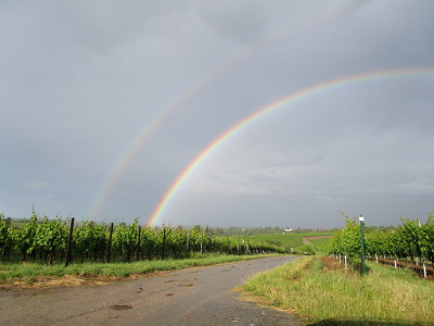 Regenbogen