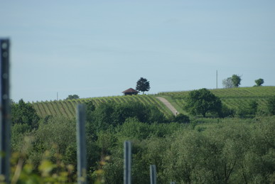 Wanderungen